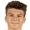 Harbor Miller