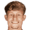 Мелле Виттевен