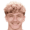 Свен Мейнанс