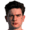 Tommie van de Looi