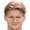 Давид Вольфе