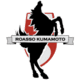 Роассо Кумамото