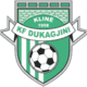 Dukagjini